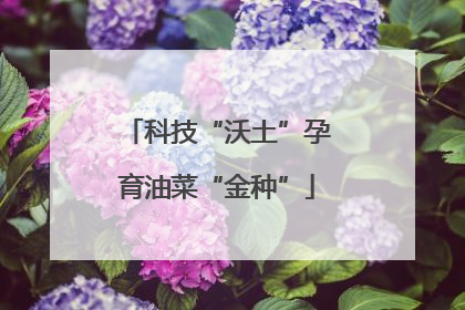 科技“沃土”孕育油菜“金种”