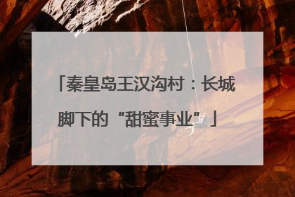 秦皇岛王汉沟村：长城脚下的“甜蜜事业”