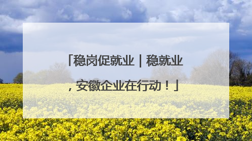 稳岗促就业｜稳就业，安徽企业在行动！