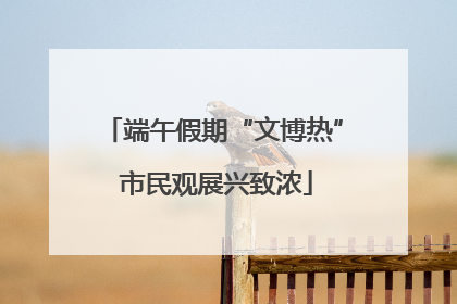 端午假期“文博热” 市民观展兴致浓