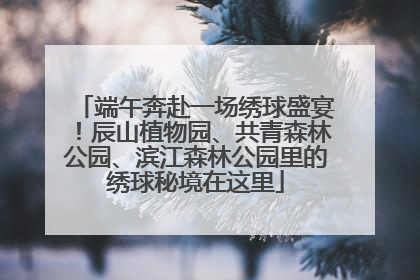端午奔赴一场绣球盛宴！辰山植物园、共青森林公园、滨江森林公园里的绣球秘境在这里