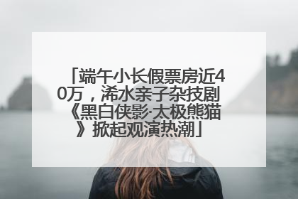 端午小长假票房近40万，浠水亲子杂技剧《黑白侠影·太极熊猫》掀起观演热潮