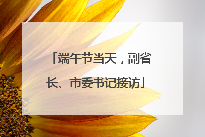端午节当天，副省长、市委书记接访