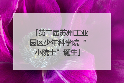 第二届苏州工业园区少年科学院“小院士”诞生