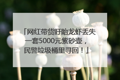 网红带货盱眙龙虾丢失一套5000元紫砂壶，民警垃圾桶里寻回！