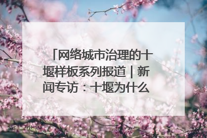 网络城市治理的十堰样板系列报道｜新闻专访：十堰为什么成为“黑马型”城市治理网络维度典型