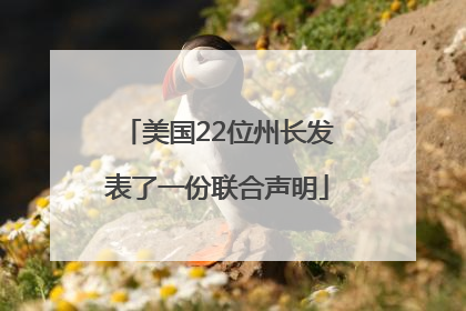 美国22位州长发表了一份联合声明