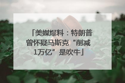 美媒爆料：特朗普曾怀疑马斯克“削减1万亿”是吹牛