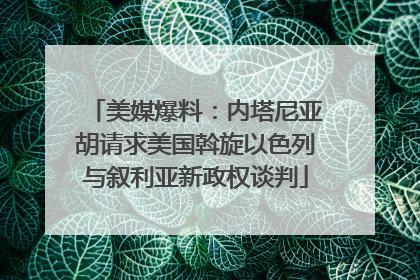 美媒爆料：内塔尼亚胡请求美国斡旋以色列与叙利亚新政权谈判