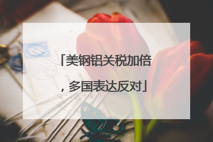 美钢铝关税加倍，多国表达反对