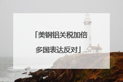 美钢铝关税加倍 多国表达反对