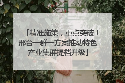 精准施策，重点突破！邢台一群一方案推动特色产业集群提档升级