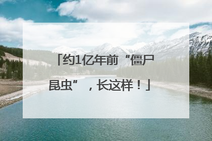 约1亿年前“僵尸昆虫”，长这样！