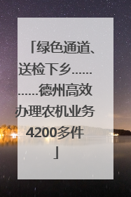 绿色通道、送检下乡…………德州高效办理农机业务4200多件