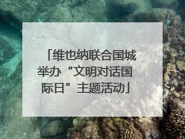 维也纳联合国城举办“文明对话国际日”主题活动