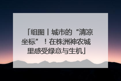 组图丨城市的“清凉坐标”！在株洲神农城里感受绿意与生机