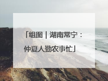 组图｜湖南常宁：仲夏人勤农事忙