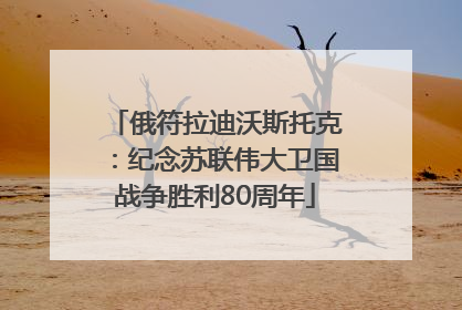 俄符拉迪沃斯托克：纪念苏联伟大卫国战争胜利80周年