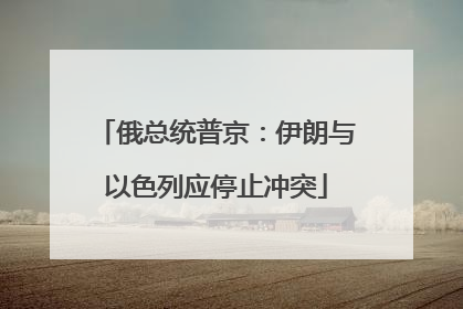 俄总统普京：伊朗与以色列应停止冲突