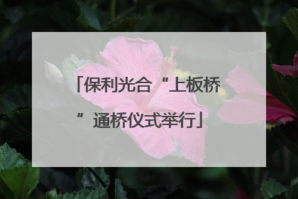保利光合“上板桥”通桥仪式举行