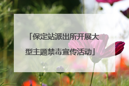保定站派出所开展大型主题禁毒宣传活动