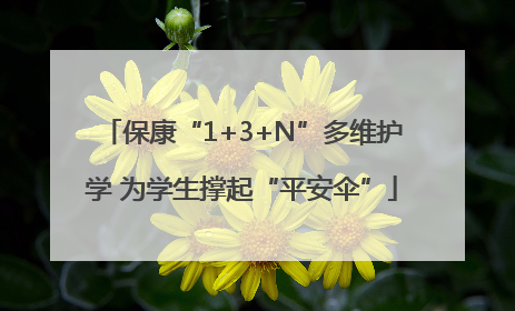 保康“1+3+N”多维护学 为学生撑起“平安伞”