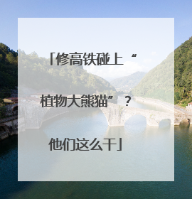 修高铁碰上“植物大熊猫”？他们这么干