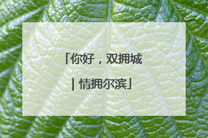 你好，双拥城｜情拥尔滨