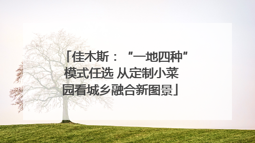 佳木斯：“一地四种” 模式任选 从定制小菜园看城乡融合新图景