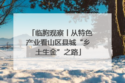 临朐观察丨从特色产业看山区县城“乡土生金”之路