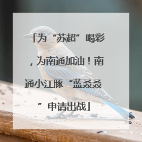 为“苏超”喝彩，为南通加油！南通小江豚“蓝叒叒”申请出战