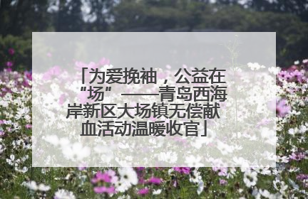 为爱挽袖，公益在“场”——青岛西海岸新区大场镇无偿献血活动温暖收官