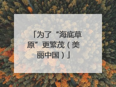 为了“海底草原”更繁茂（美丽中国）