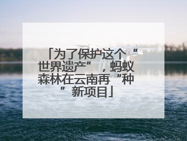为了保护这个“世界遗产”，蚂蚁森林在云南再“种”新项目