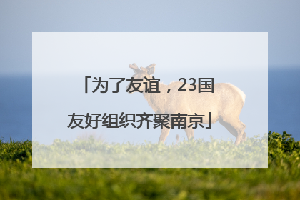 为了友谊，23国友好组织齐聚南京