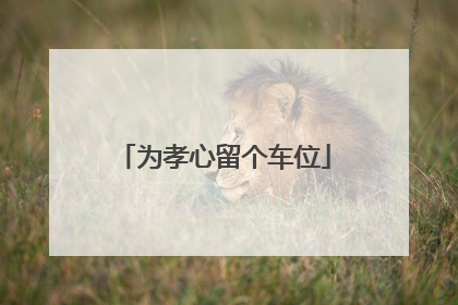 为孝心留个车位
