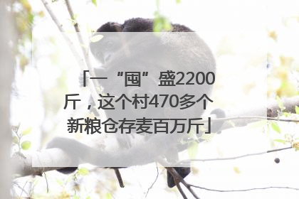一“囤”盛2200斤，这个村470多个新粮仓存麦百万斤