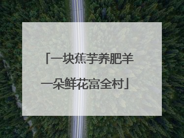 一块蕉芋养肥羊 一朵鲜花富全村