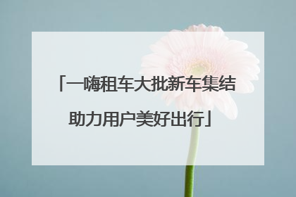 一嗨租车大批新车集结 助力用户美好出行