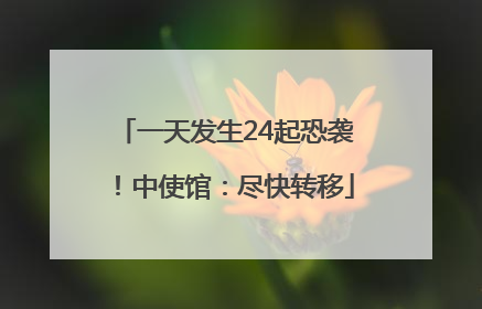一天发生24起恐袭！中使馆：尽快转移