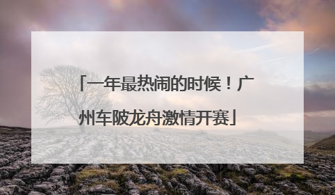 一年最热闹的时候！广州车陂龙舟激情开赛