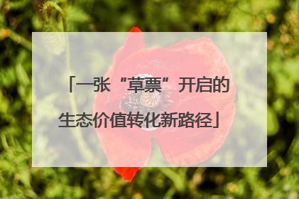一张“草票”开启的生态价值转化新路径