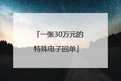 一张30万元的特殊电子回单