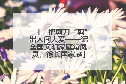 一把剪刀“剪”出人间大爱——记全国文明家庭常凤灵、徐长国家庭