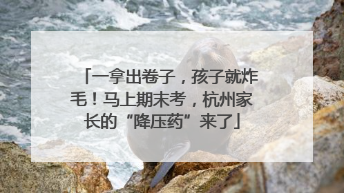 一拿出卷子，孩子就炸毛！马上期末考，杭州家长的“降压药”来了