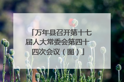万年县召开第十七届人大常委会第四十四次会议（图）