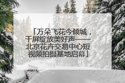 万朵飞花今倾城，千屏绽放美好声——北京花卉交易中心短视频拍摄基地启幕