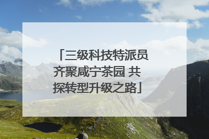 三级科技特派员齐聚咸宁茶园 共探转型升级之路