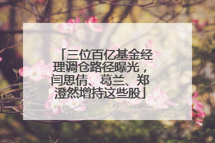 三位百亿基金经理调仓路径曝光，闫思倩、葛兰、郑澄然增持这些股