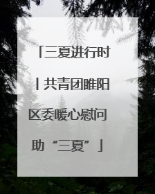 三夏进行时丨共青团睢阳区委暖心慰问助“三夏”